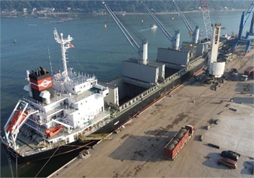 Local Port Agency for Vessel at HAI PHONG